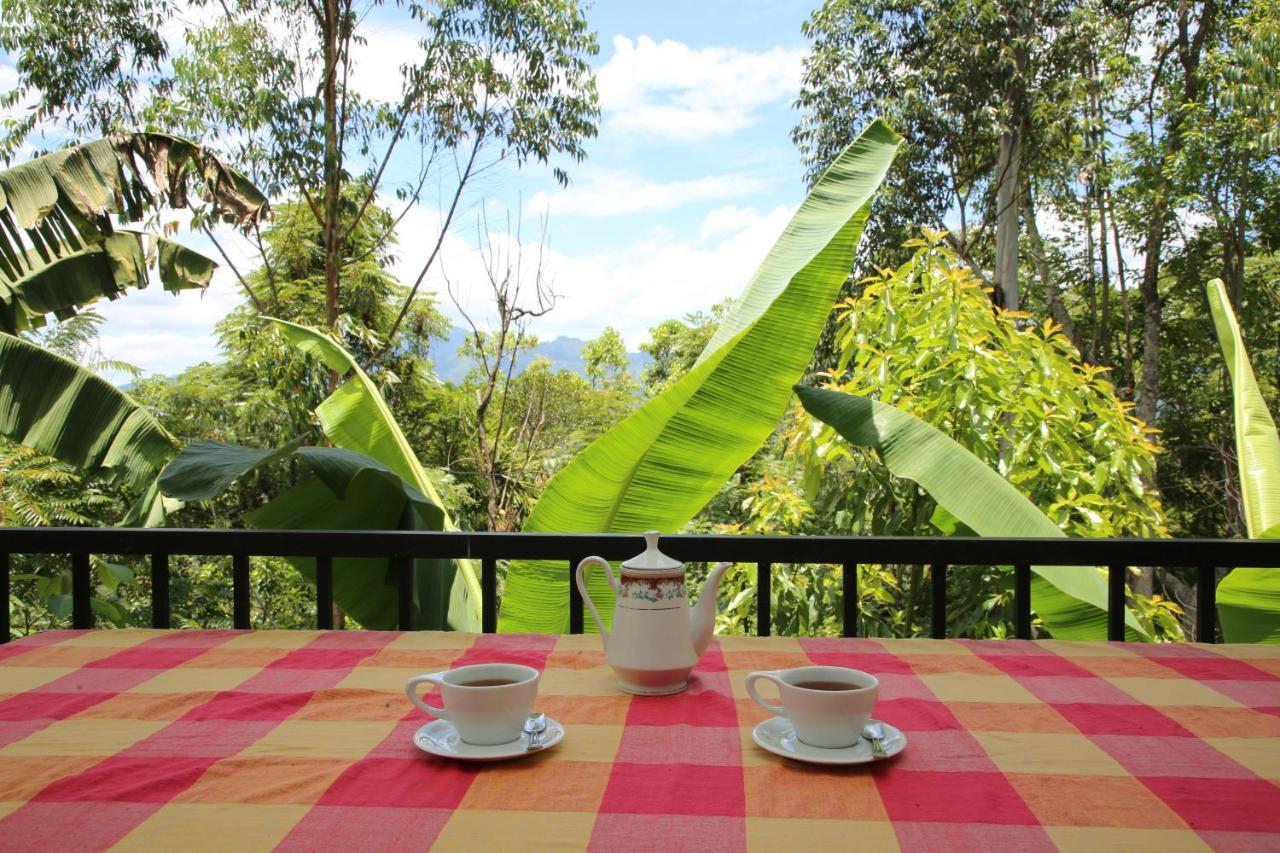 The Bliss Homestay エッラ エクステリア 写真