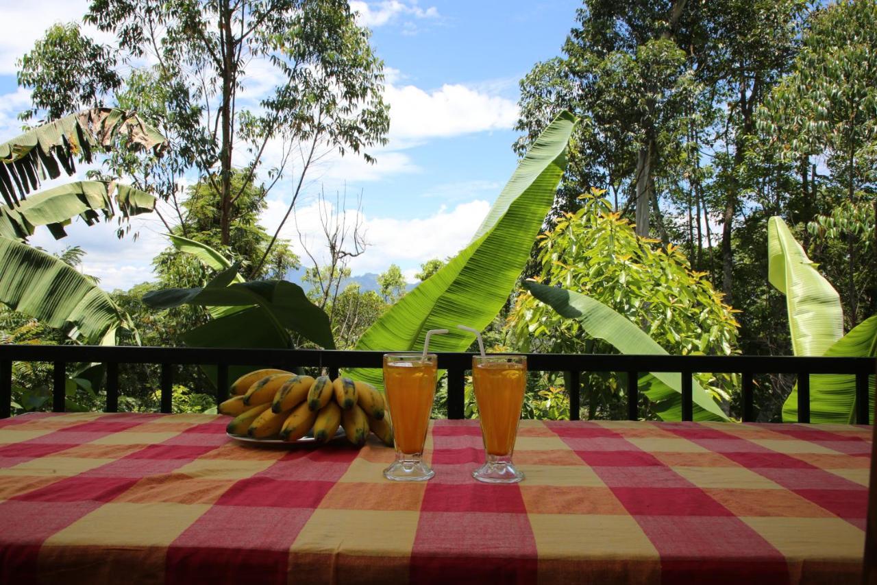 The Bliss Homestay エッラ エクステリア 写真