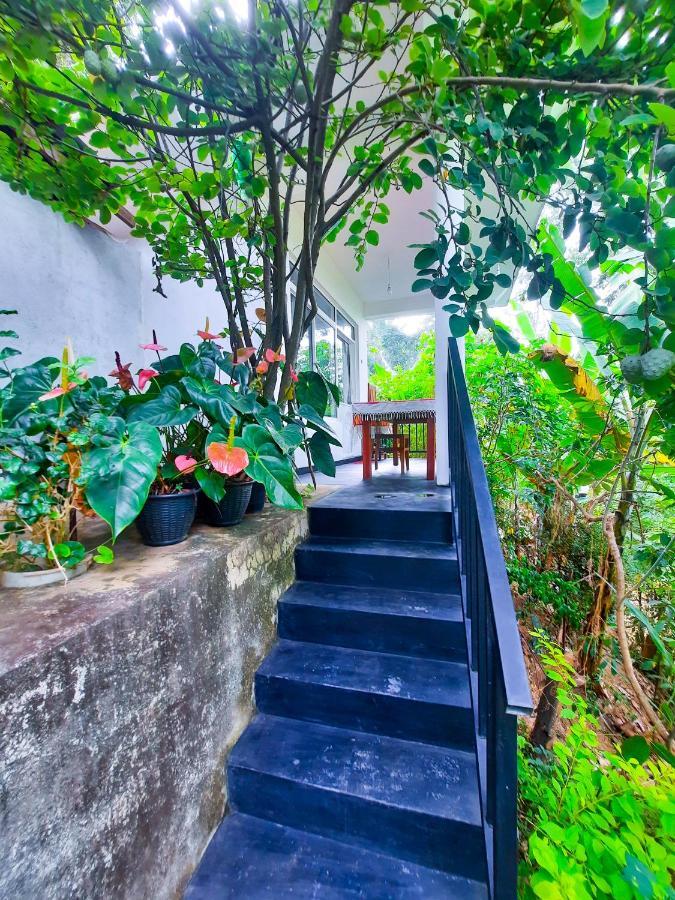 The Bliss Homestay エッラ エクステリア 写真