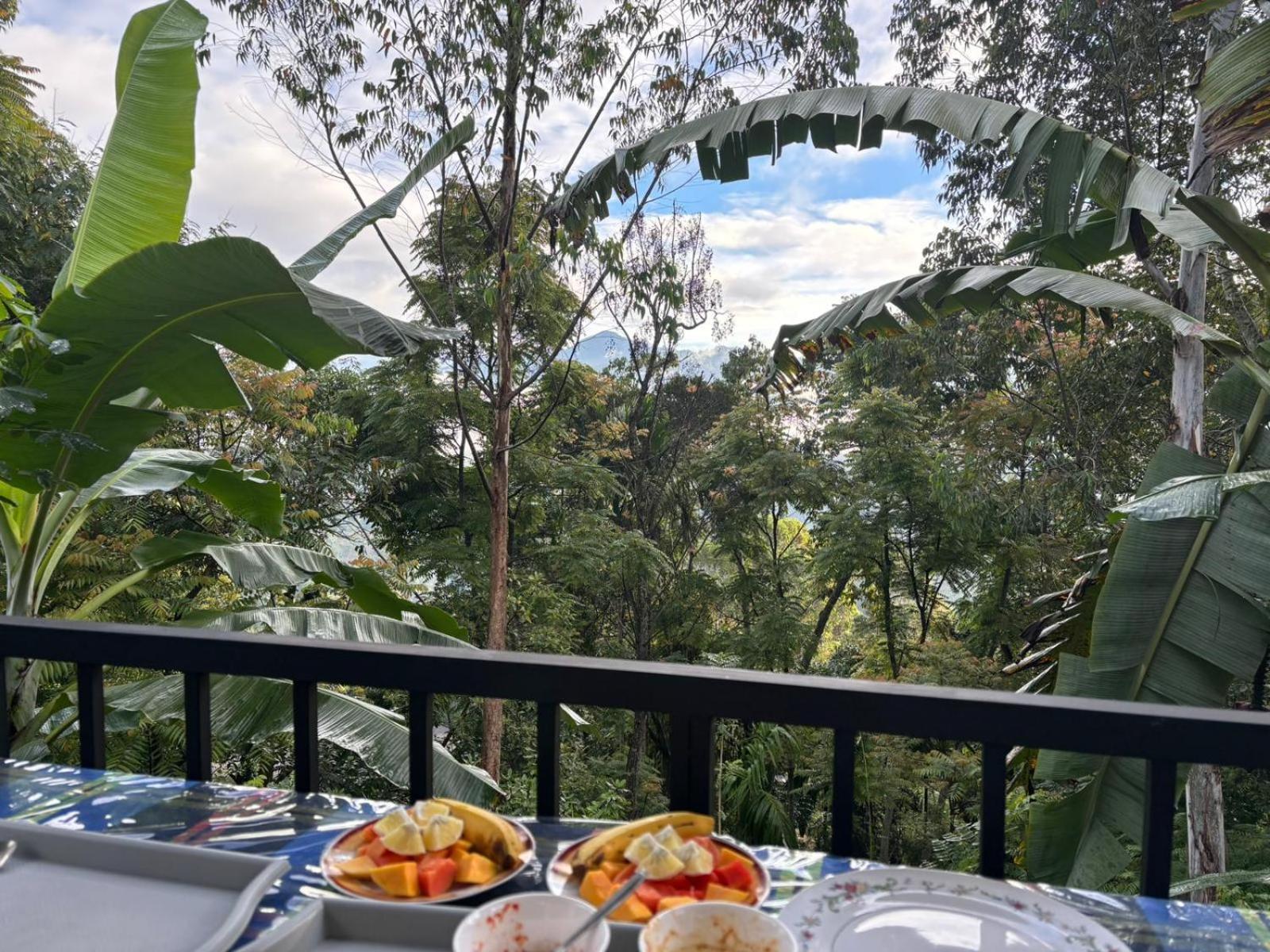 The Bliss Homestay エッラ エクステリア 写真