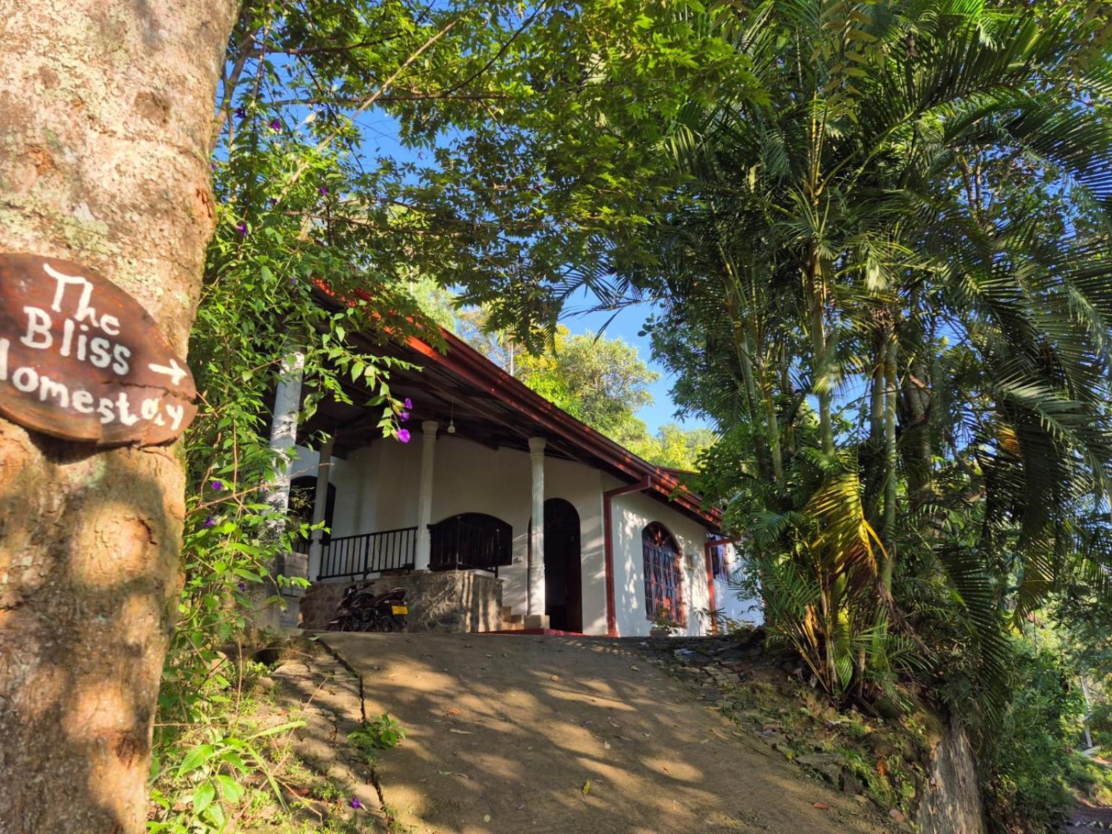 The Bliss Homestay エッラ エクステリア 写真